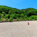 김천맑은계곡 오토캠핑장 이미지