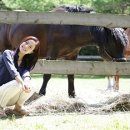 단아목장 이미지