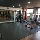 ACE GYM 이미지