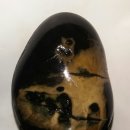 불타는청춘 이미지