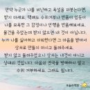 윤세탁소