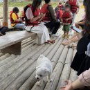 한반도뗏목마을 이미지