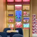 스테이 패스포트 홍콩 고성점 이미지