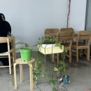 유니크디저트