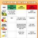 바디엣지랩 이미지