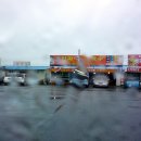 몽산포파인 이미지