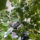 울타리영농조합법인 이미지