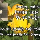 힐링 바이올린 이미지