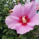 한국폴리텍 VII 대학 진주캠퍼스 이미지