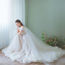 그린루체 이미지