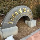 1월4일 일요일애기동백축제장 및 군산여행 이미지