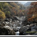 추성마을 이미지