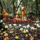 봄날식당 이미지