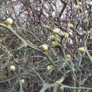 숯골농장 이미지