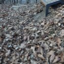 오남호수공원[오남-2] 이미지