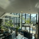아리아파크 | [제주 4박5일] Day 5 - 그랜드조선 제주 아리아 런치 &amp; 9.81파크 레이싱 내돈내산 후기