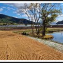 대가연꽃테마공원 이미지