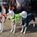 양선농장 이미지