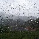 안해님농장 네이버블로그
