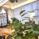 다옴헤어 이미지