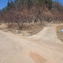 새땅공인중개사사무소 이미지