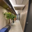 안락샘내과의원 이미지