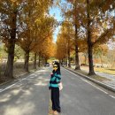 타이어쇼핑몰 도안점 | [일상] 2024 연말정산