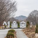 코코온누리약국 이미지