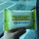 (주)디토모션 | [페스티벌] 올해 비크페 아니고 피크페, 넬친자 용화헴 용안에 미치다 | 2024 피크페스티벌