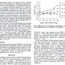 ＜외국논문＞ 무릎환자에게 Weight-bearing 재활운동에 관한 연구.pdf 이미지