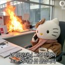 사당소화약국 | [직장인 일상블로그] 25년 말고 25살이고 싶은 29살