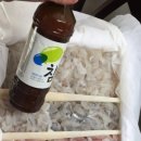 신소라3번 네이버블로그