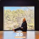 경주솔거미술관 | 경주 여행 혼자 여행지 경주엑스포 대공원 반려동물 할인 솔거미술관 전시 후기