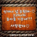 엄마~! 드릴 말씀이 있어요~~!! 이미지