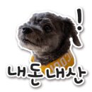 우리카센터 이미지