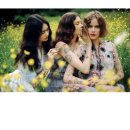 DIANA호텔 이미지