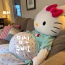 이룸산부인과의원 | 임신준비1_산전검사 후기｜AMH 수치 2.6 의미 + 자연 임신 준비