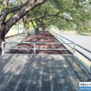 봉황대운동장 이미지