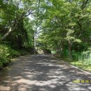 망운산 등산로 이미지