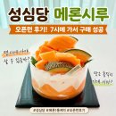 시루시루7 | 성심당 멜론1통케익 메론시루 오픈런 후기 7시에 구매 성공한 솔직 리뷰