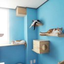 꿀밤스테이 이미지