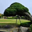 생각하는 정원 이미지