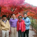 성경연 Daum카페