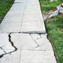 일과 이분의일 이미지