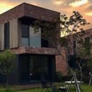 다모리네 이미지