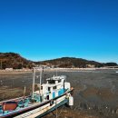 용유낚시마트
