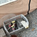 오늘스테이 이미지