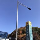 돼지별에서김치랑