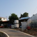 교동면-4 이미지