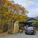 포레스트541 이미지